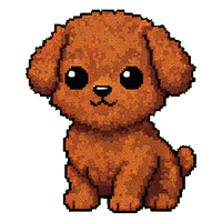Poodle